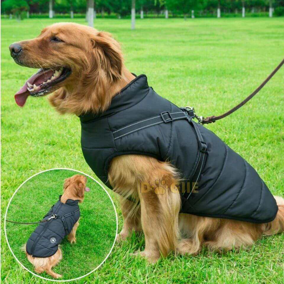 Waterproof Winter Jacket with Built-in Harness