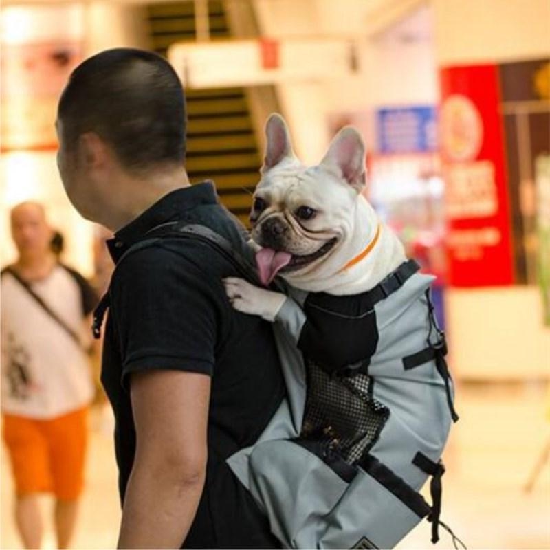 Dog Backpack Sack Carrier